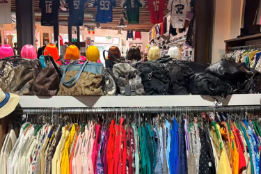 Iguana Vintage Clothes - Thrift clothes and bags