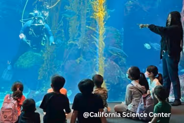 California Science Center - Aquarium area