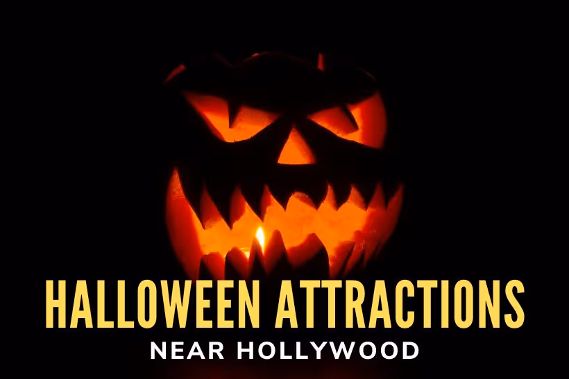 Top Halloween Attractions Near Hollywood - Carved pumpkin
