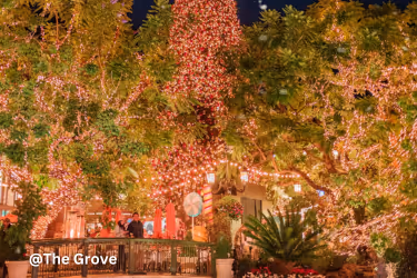 The Grove Christmas lights