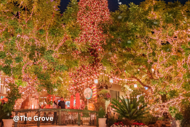 The Grove Christmas lights
