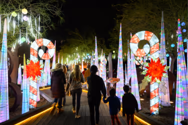 L.A. Zoo Lights Decoration