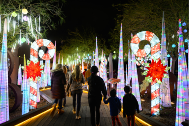 L.A. Zoo Lights Decoration