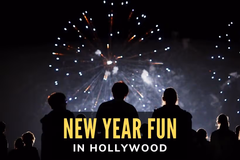 New Year Fun in Hollywood - People watching fireworks