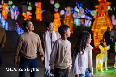 Visitors walk among colorful illuminated animal lanterns at L.A. Zoo Lights at night.