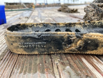 An image of a shoe made of the new plastic, which broke down in a lagoon over four months.