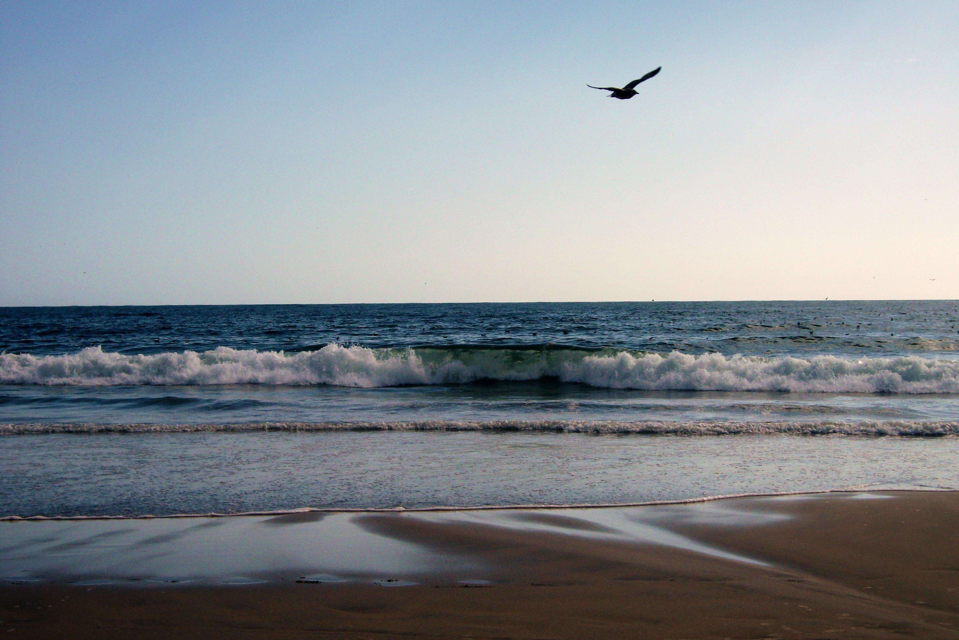 plages autour de porto matosinhos