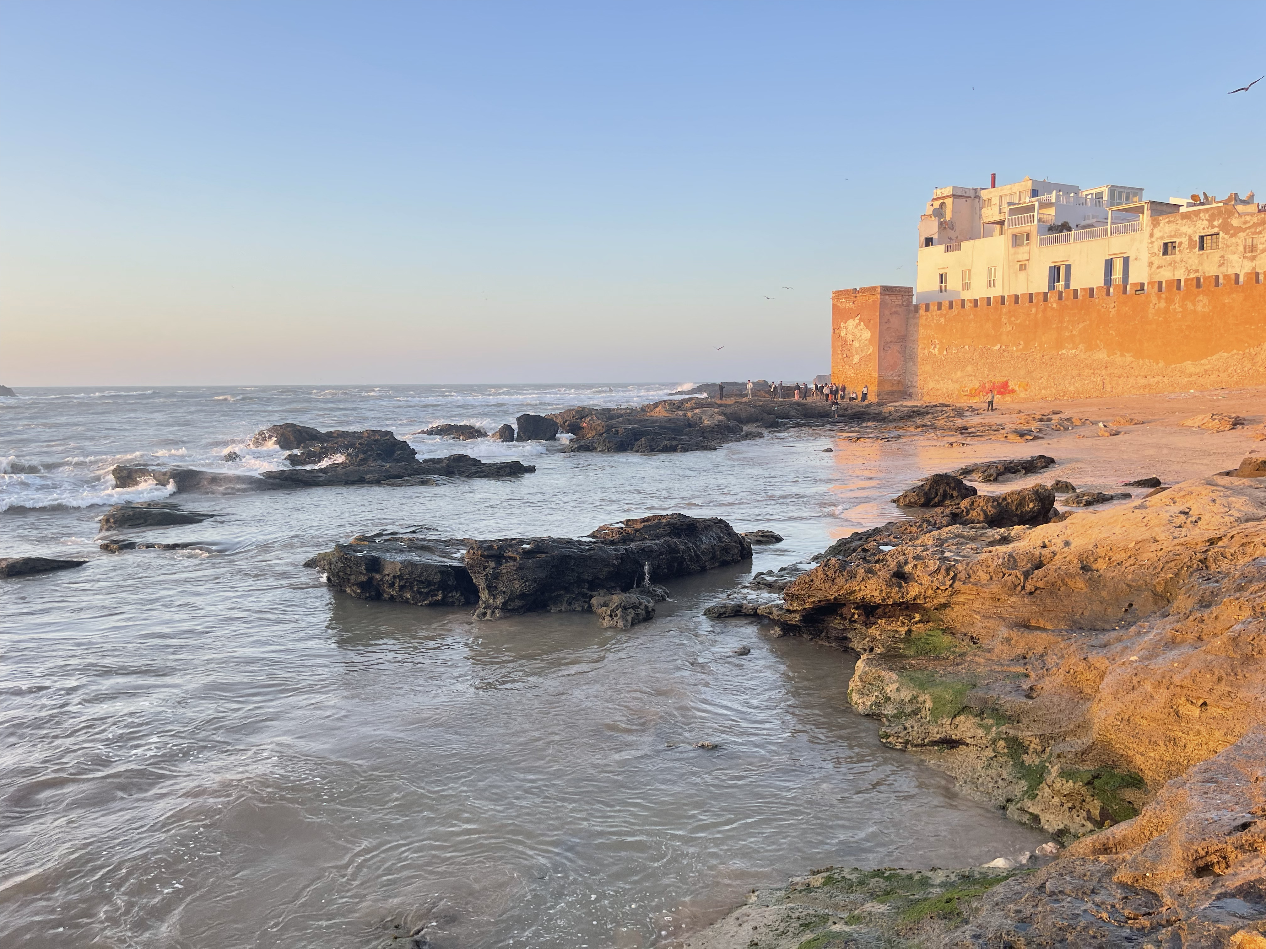 Vue sur le port pittoresque d'Essaouira au Maroc avec ses barques colorées et l'atmosphère authentique de la médina côtière