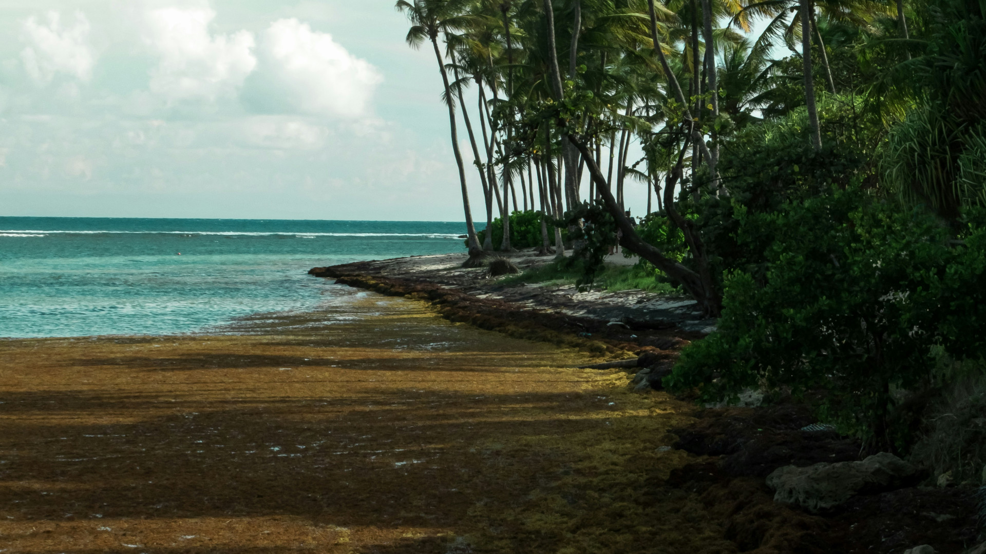 Vue panoramique de Pointe-à-Pitre en Guadeloupe avec ses maisons colorées, ses plages de sable blanc et l'atmosphère tropicale caractéristique de la destination