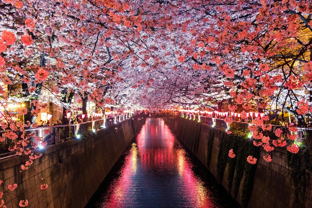 Vue panoramique de Tokyo au coucher de soleil avec ses gratte-ciels illuminés et l'atmosphère urbaine caractéristique du Japon moderne