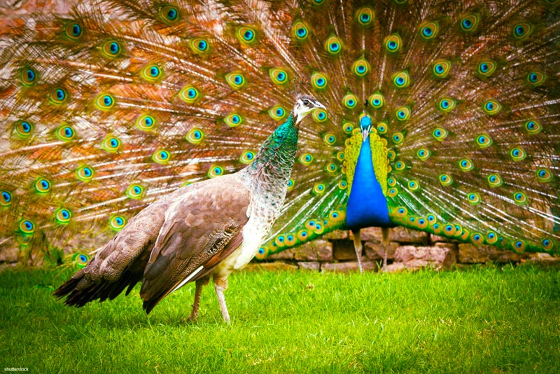 למה הצעירים מקיימים פחות יחסי מין?