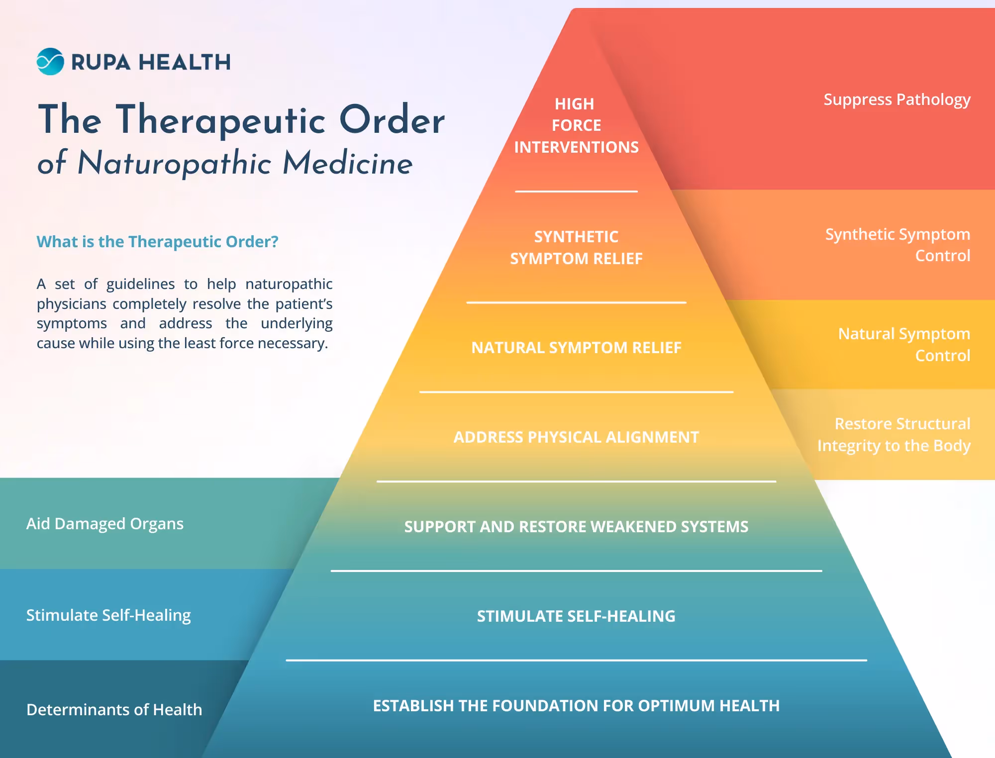 The Therapeutic Order of Naturopathic Medicineβ with a pyramid diagram. The pyramid is divided into seven colored layers, each representing a level of intervention from least to most forceful.