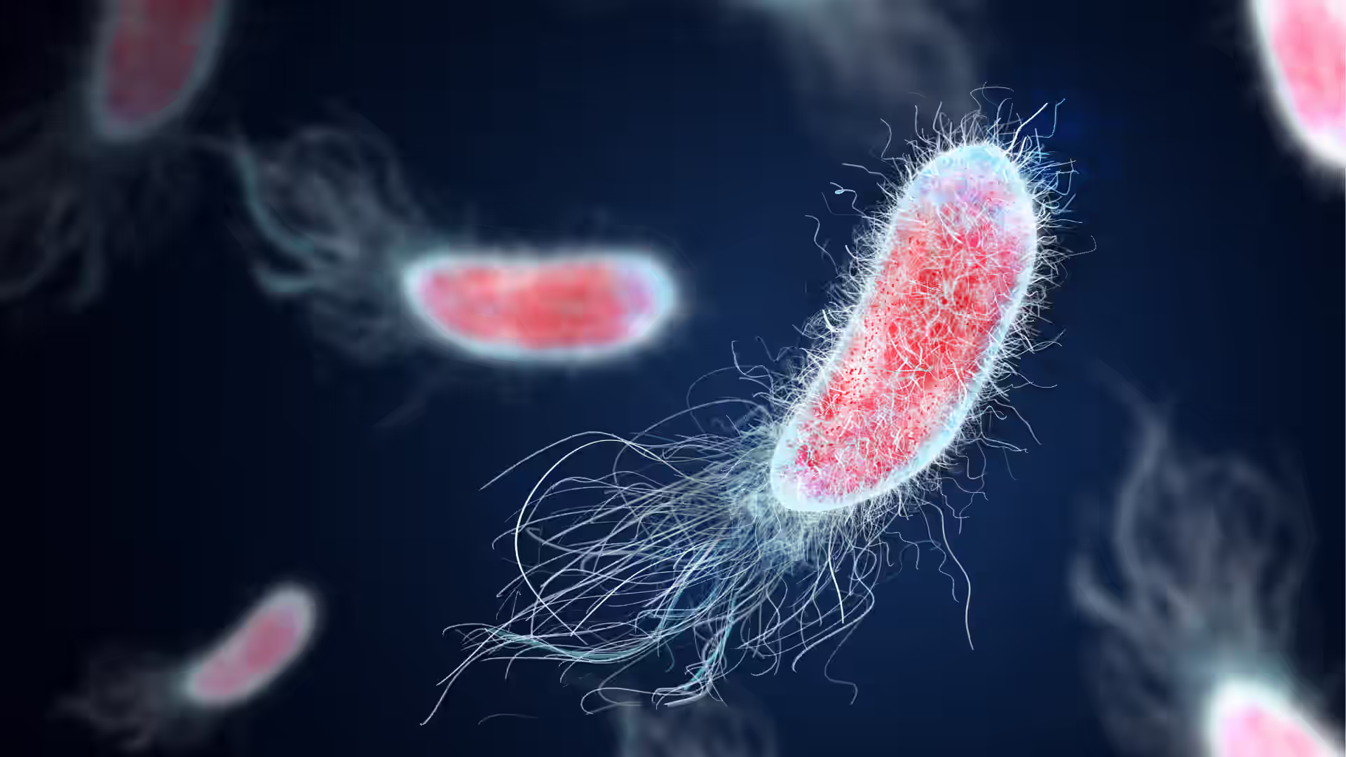 Preventing Bacterial Infections: Expert Tips