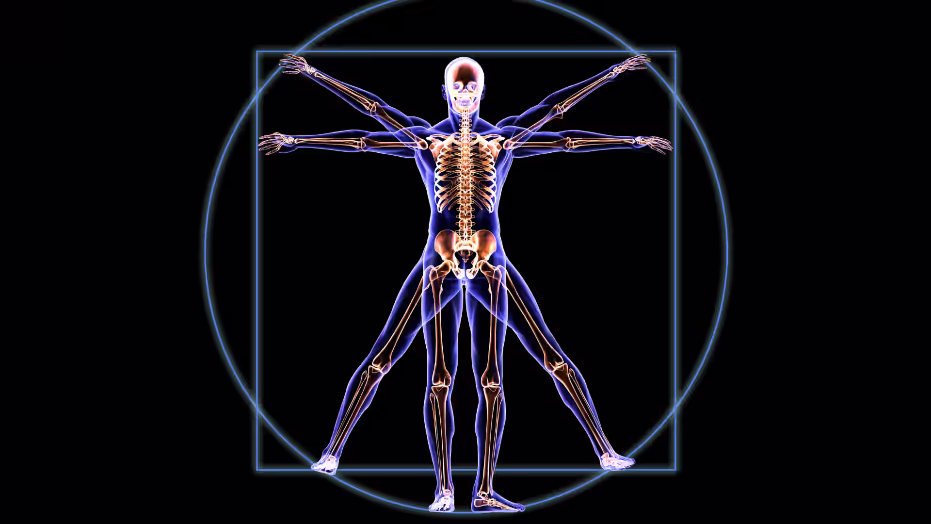 Body Planes and Anatomical Directions: A Comprehensive Guide