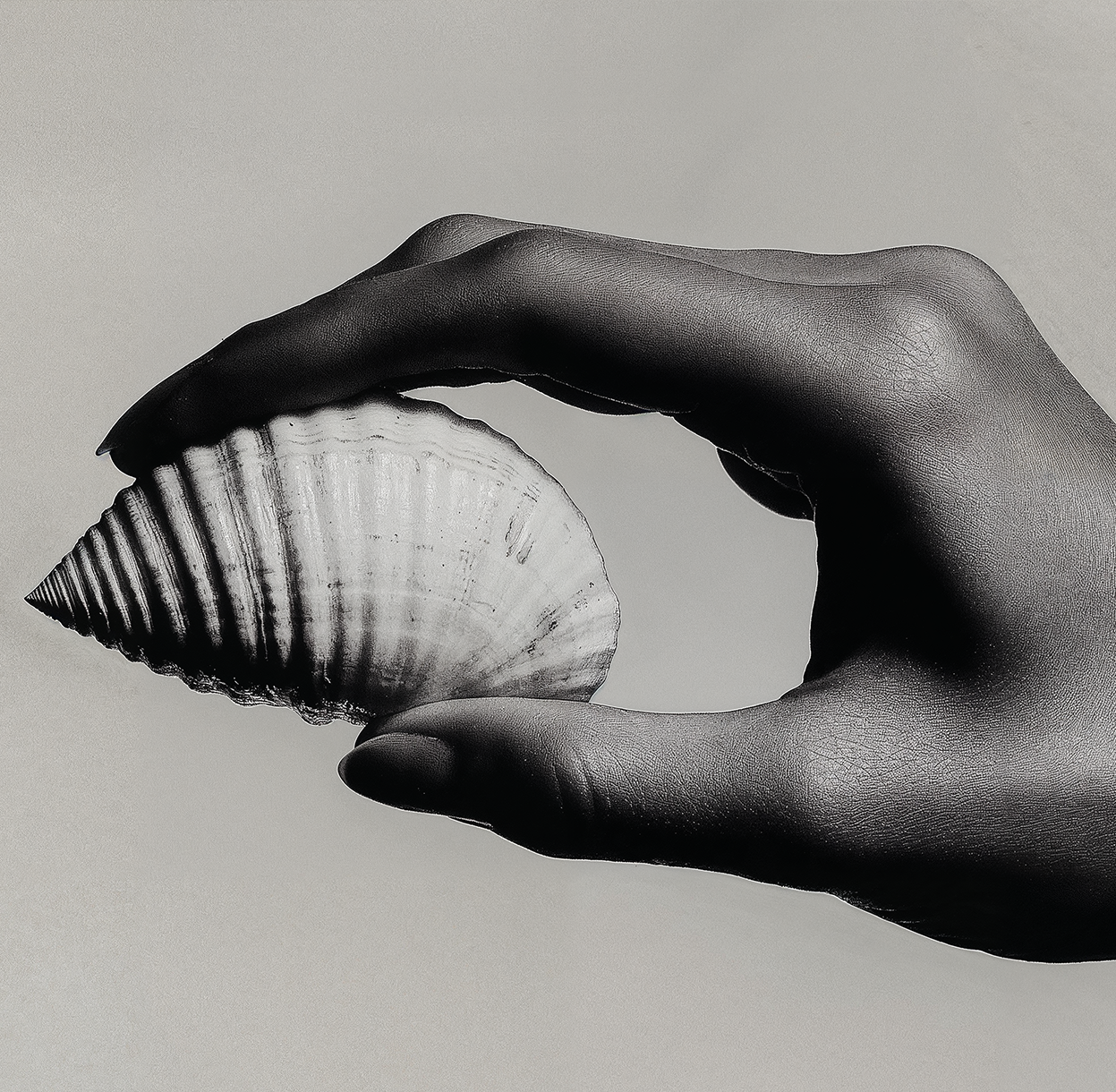 Client New Gymnasium