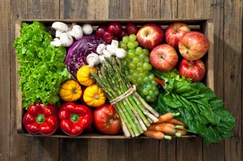 Reintroduce Foods & Support Recovery Naturally
