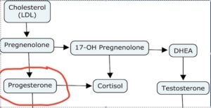 cortisol steal