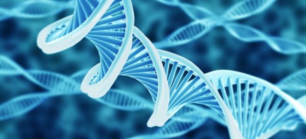 image of genetic