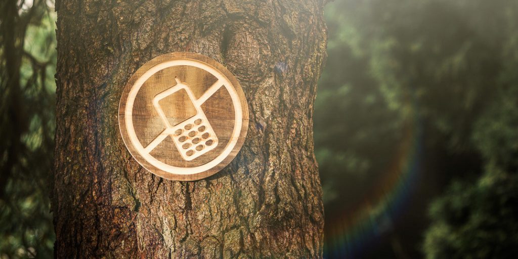 image of tree with no phone sign