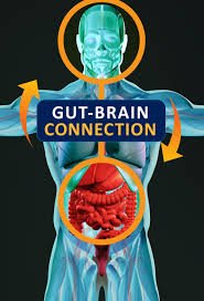 brain-gut connection image