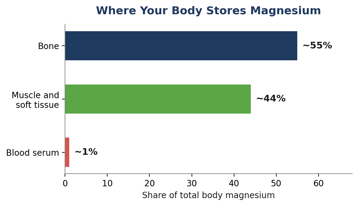 Figure 1: Approximate distribution of magnesium in the body. Standard blood tests sample only the small serum fraction.