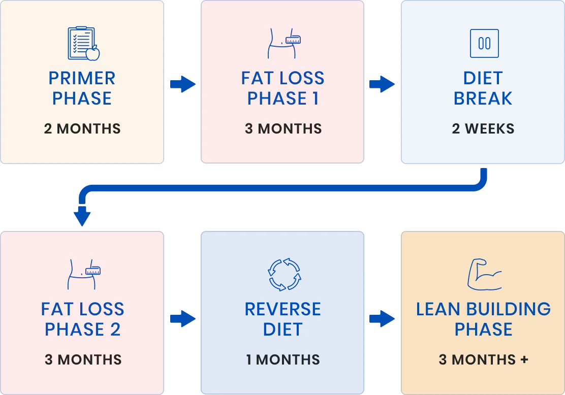 Client's Nutrition Phases