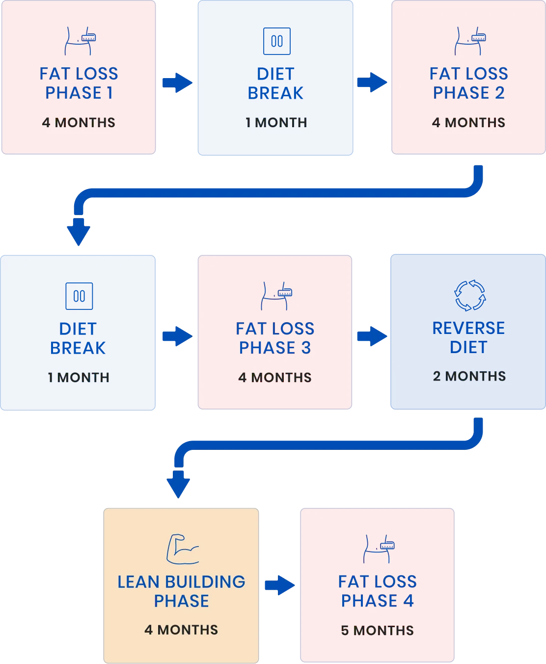 Client's Nutrition Phases