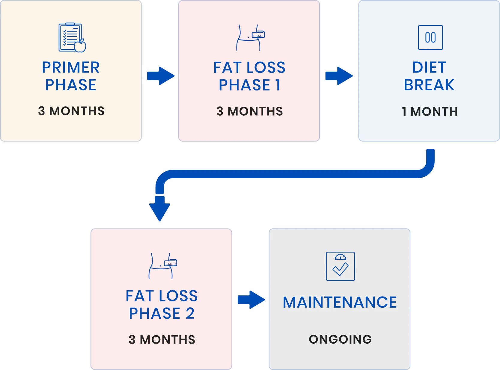Client's Nutrition Phases