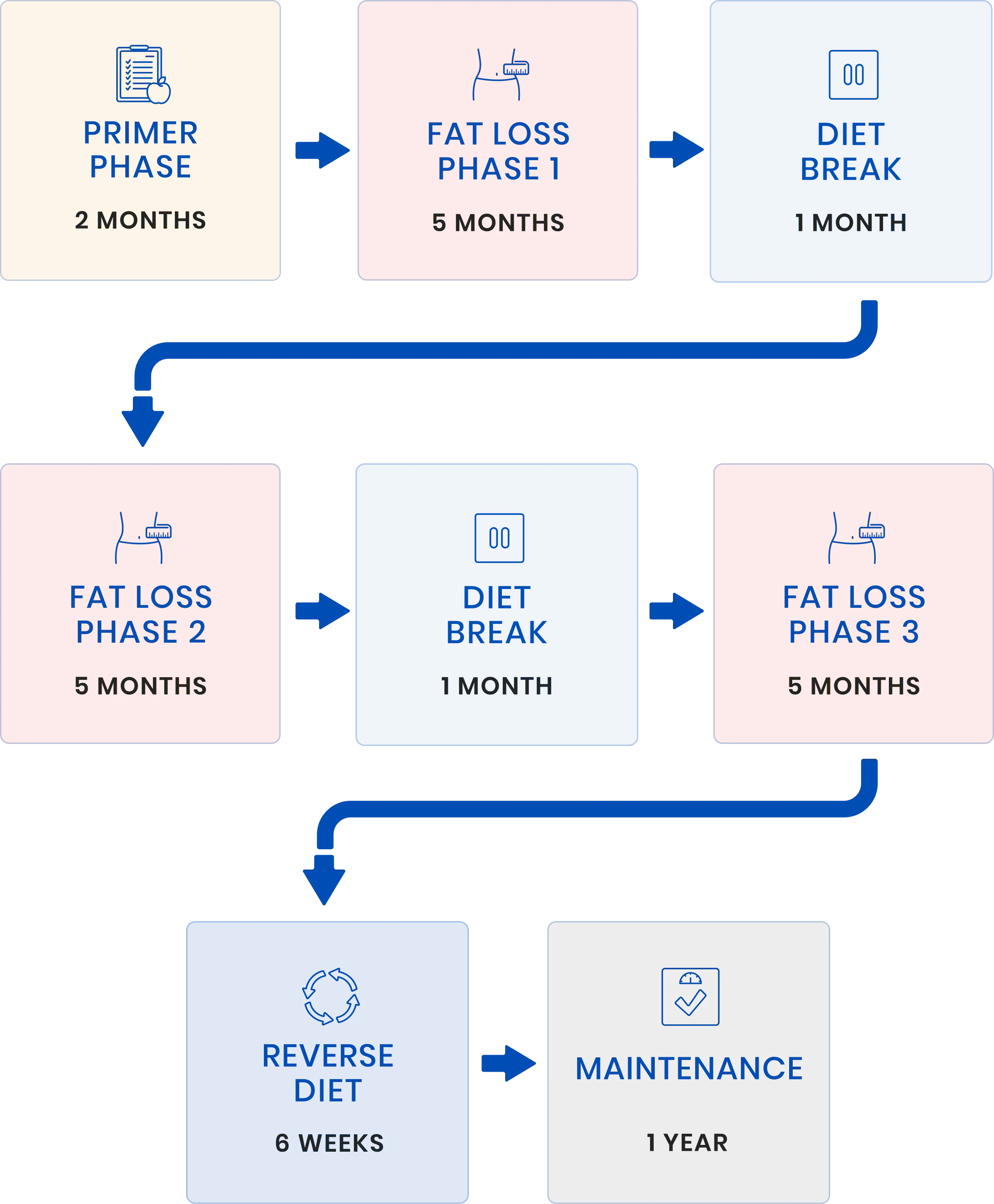 Client's Nutrition Phases