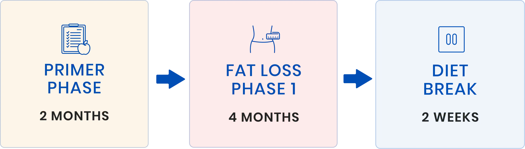Client's Nutrition Phases