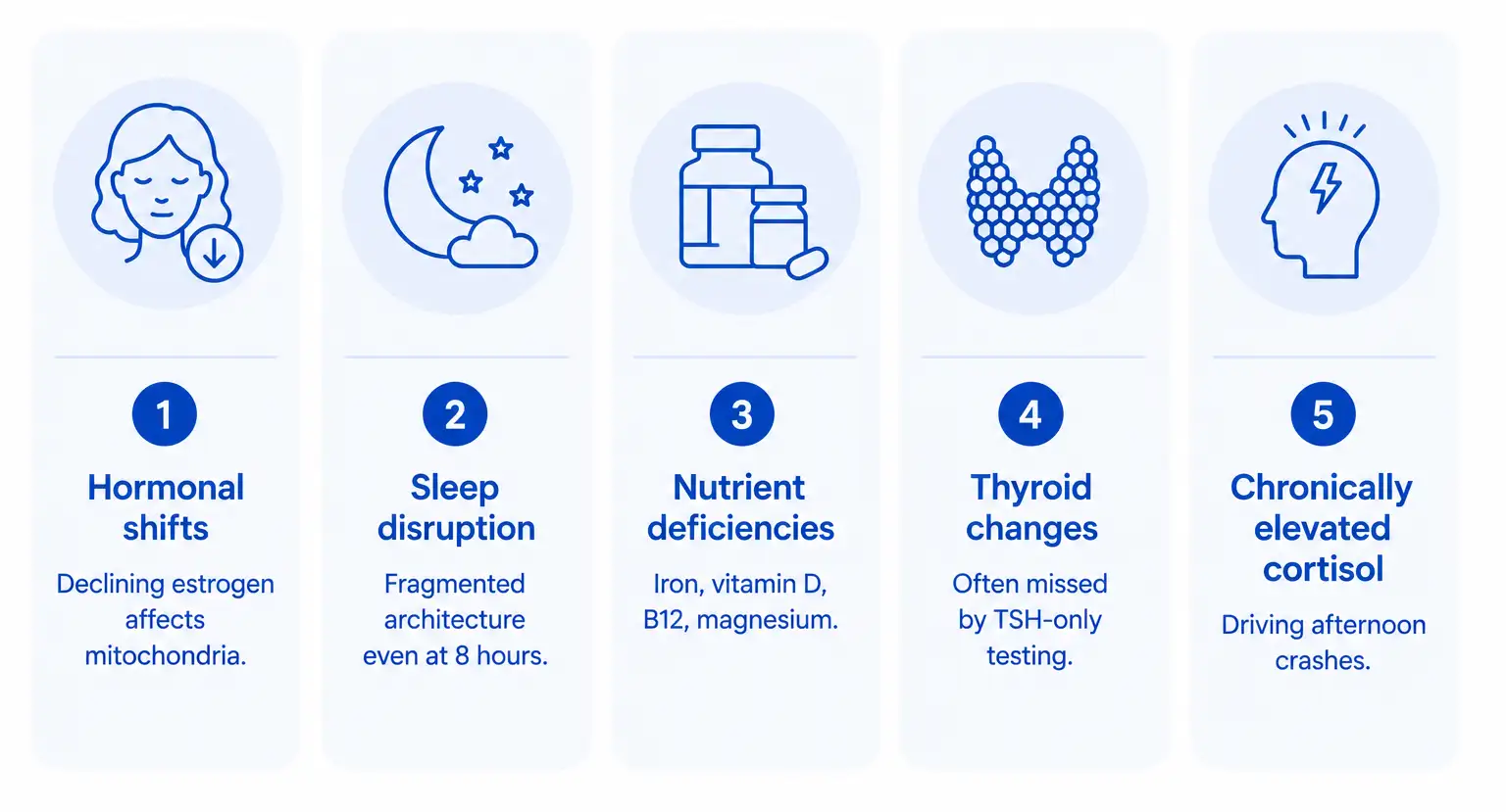 The 5 drivers of perimenopause fatigue: hormonal shifts (declining estrogen affects mitochondria), fragmented sleep architecture, common nutrient deficiencies (iron, vitamin D, B12, magnesium), undetected thyroid changes, and chronically elevated cortisol driving afternoon crashes.