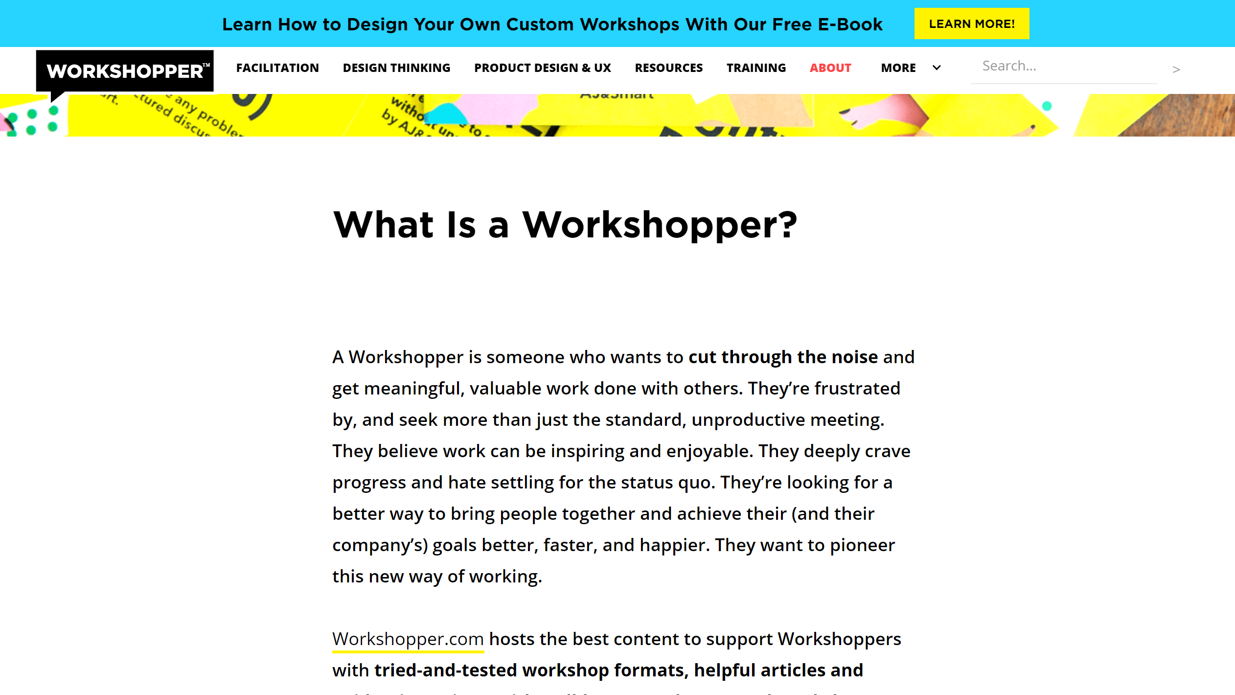 Detailed information about what is a Workshopper