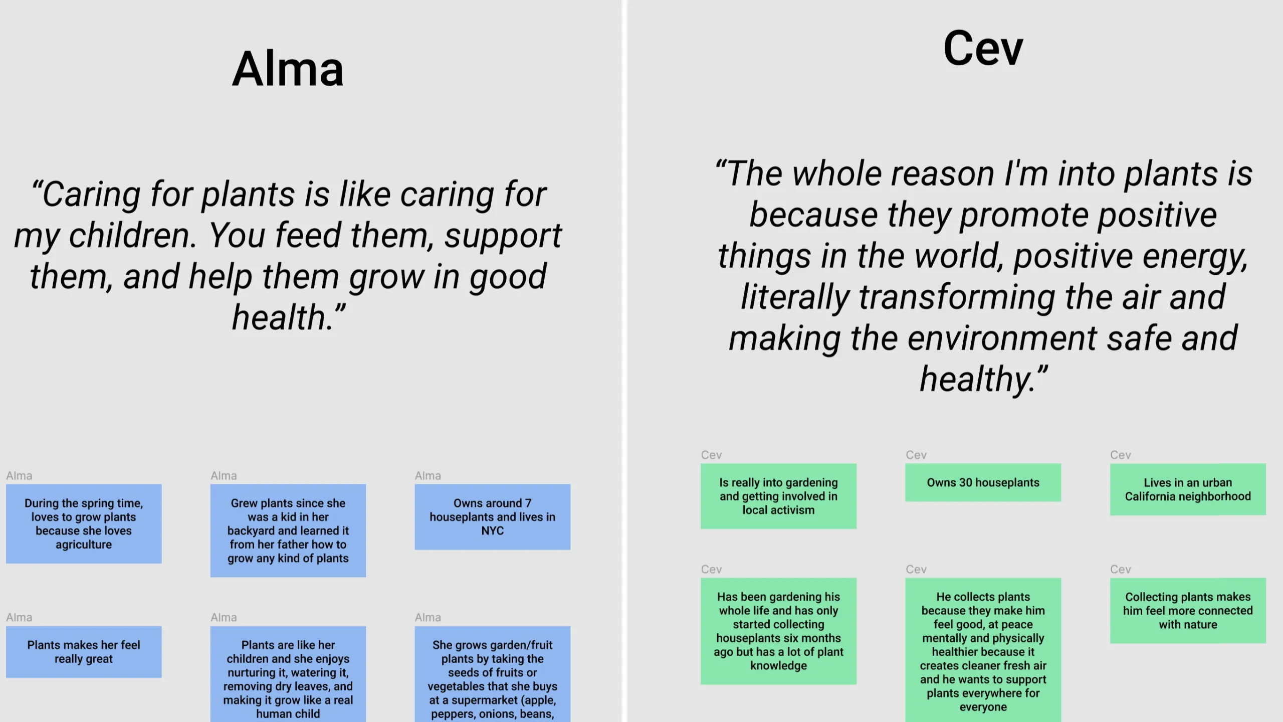 Screenshot of sticky notes used in affinity mapping for Florecer user interviews