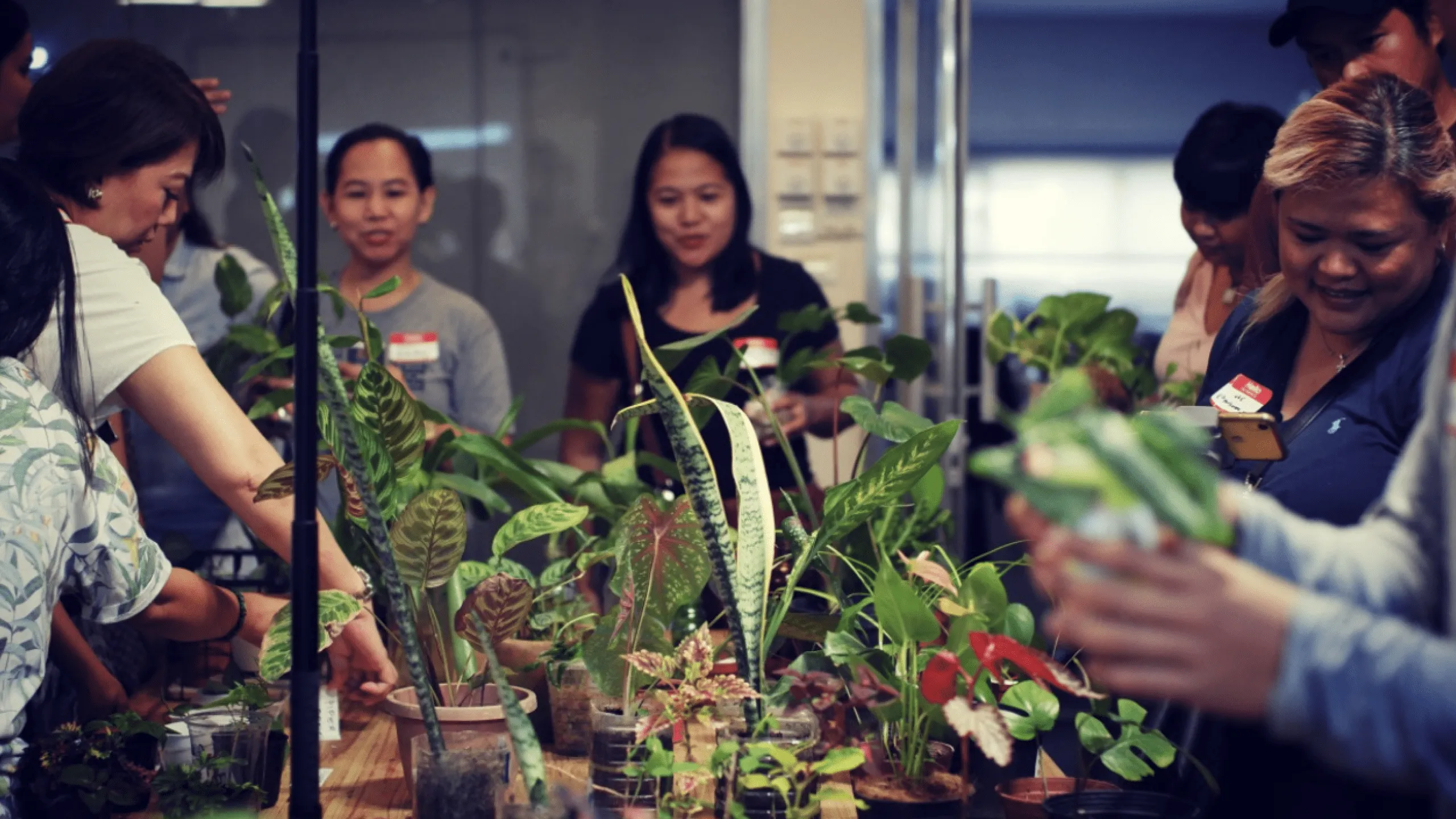 Photo of people in an office trading plants