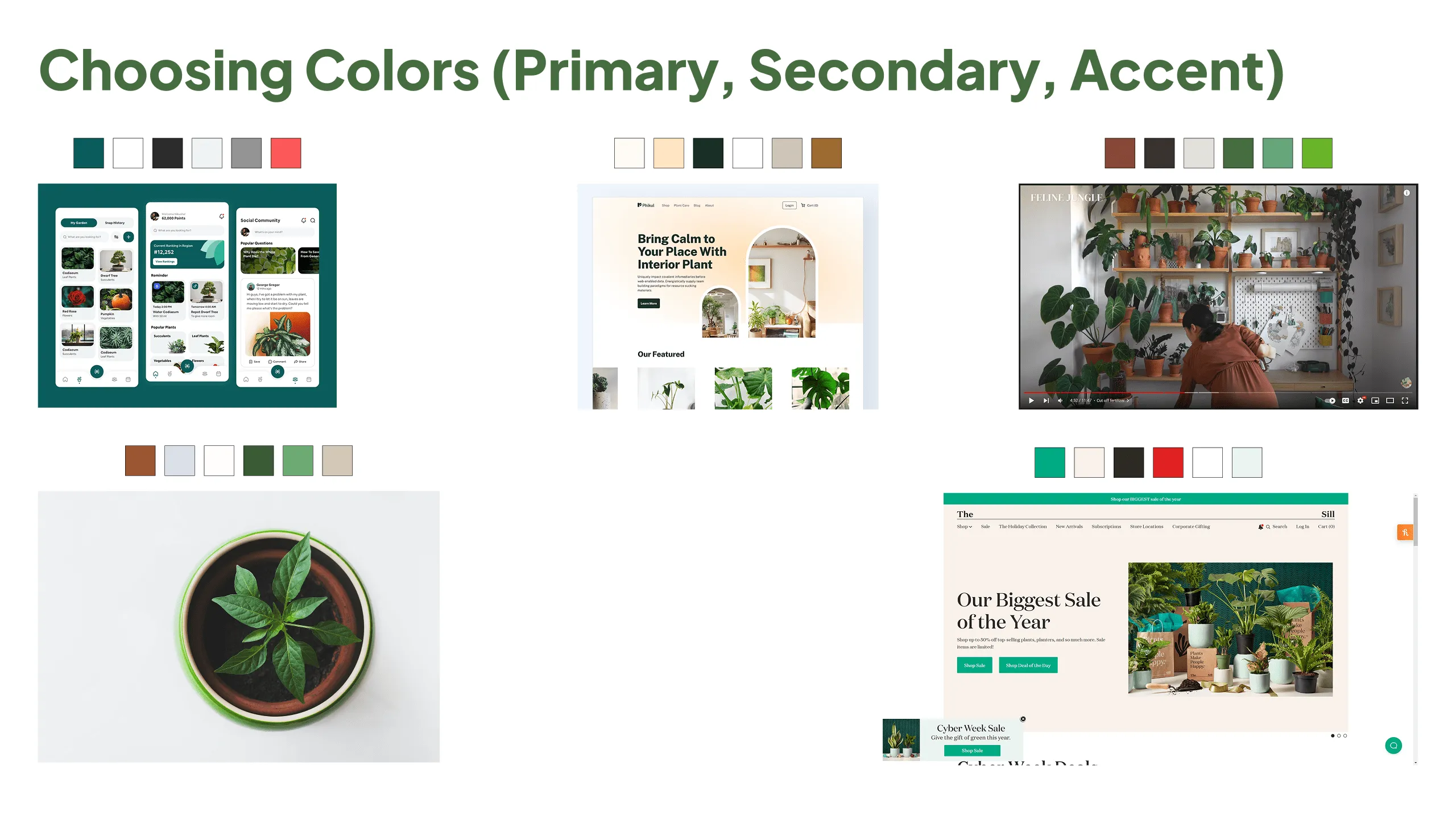 Screenshot of UI, websites, and photos collected for UI color inspiration