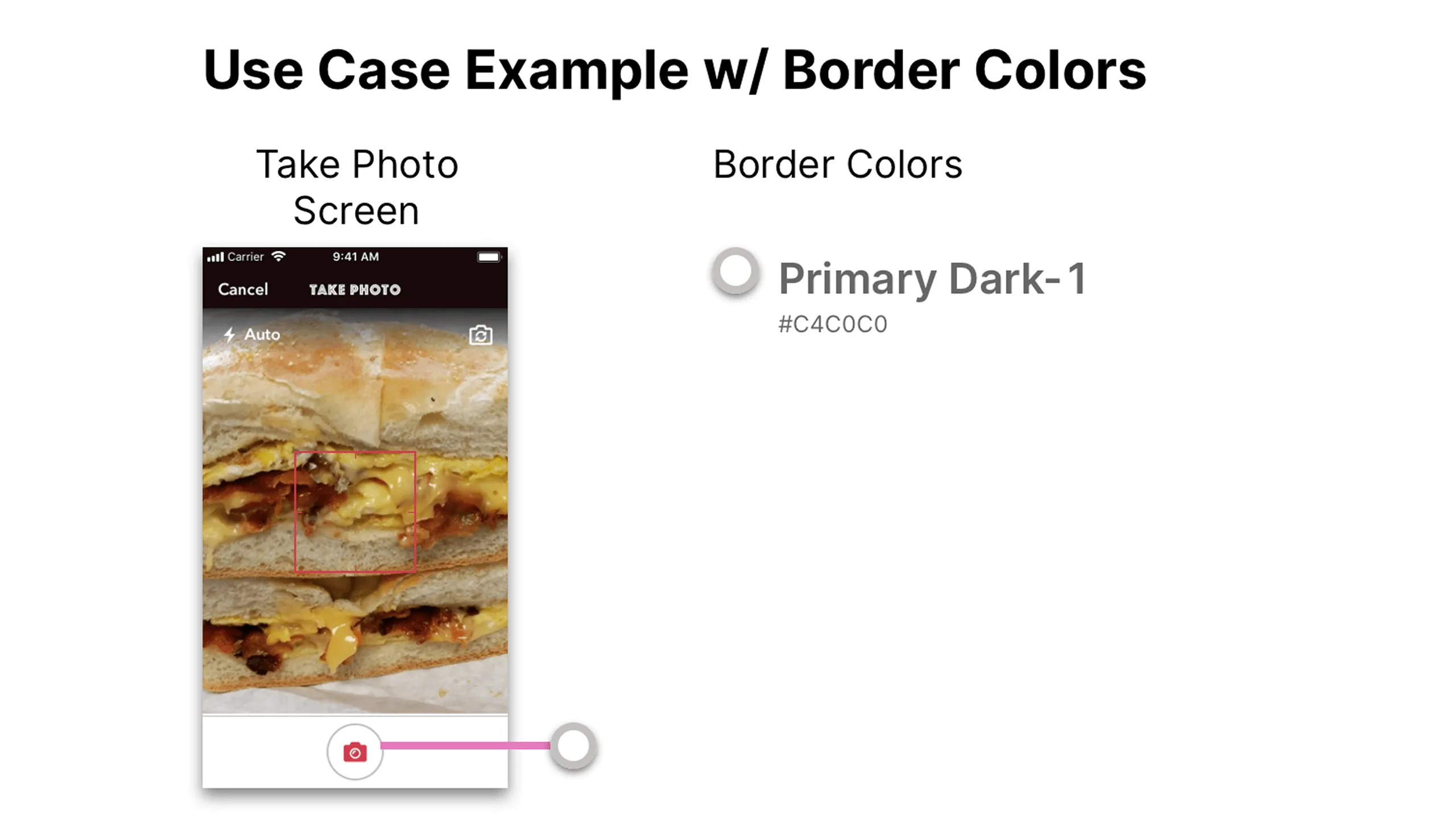 Screenshot of Take Photo screen with border hex annotations.