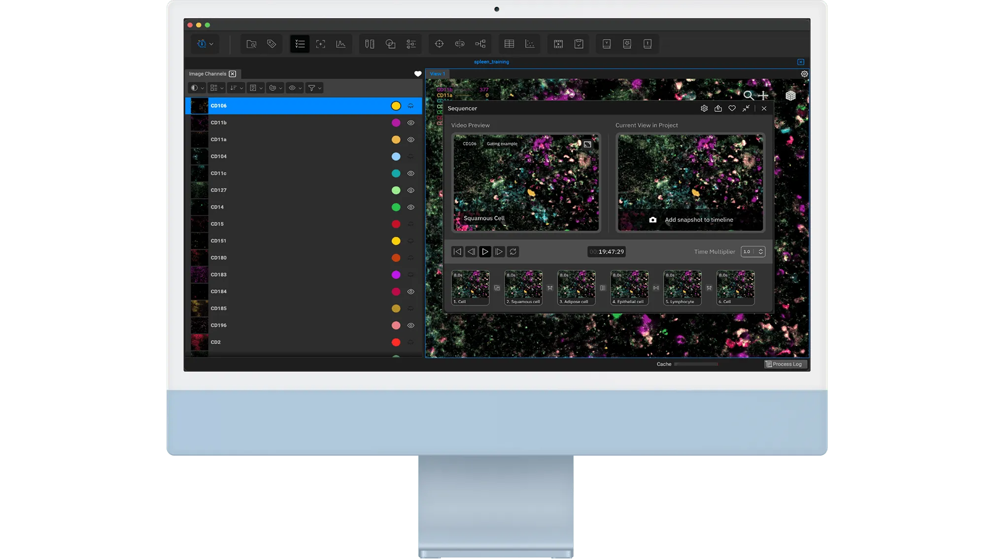 Desktop view of the Qi Tissue platform, showing tools that help doctors analyze cancer images and create personalized treatments