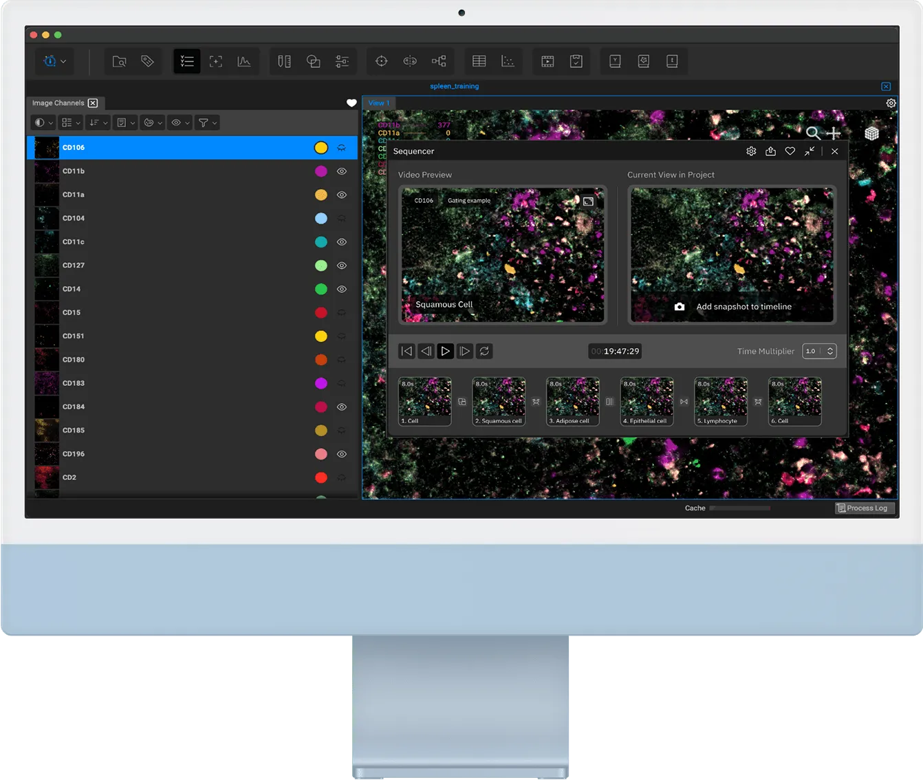 Desktop view of the Qi Tissue platform, showing tools that help doctors analyze cancer images and create personalized treatments