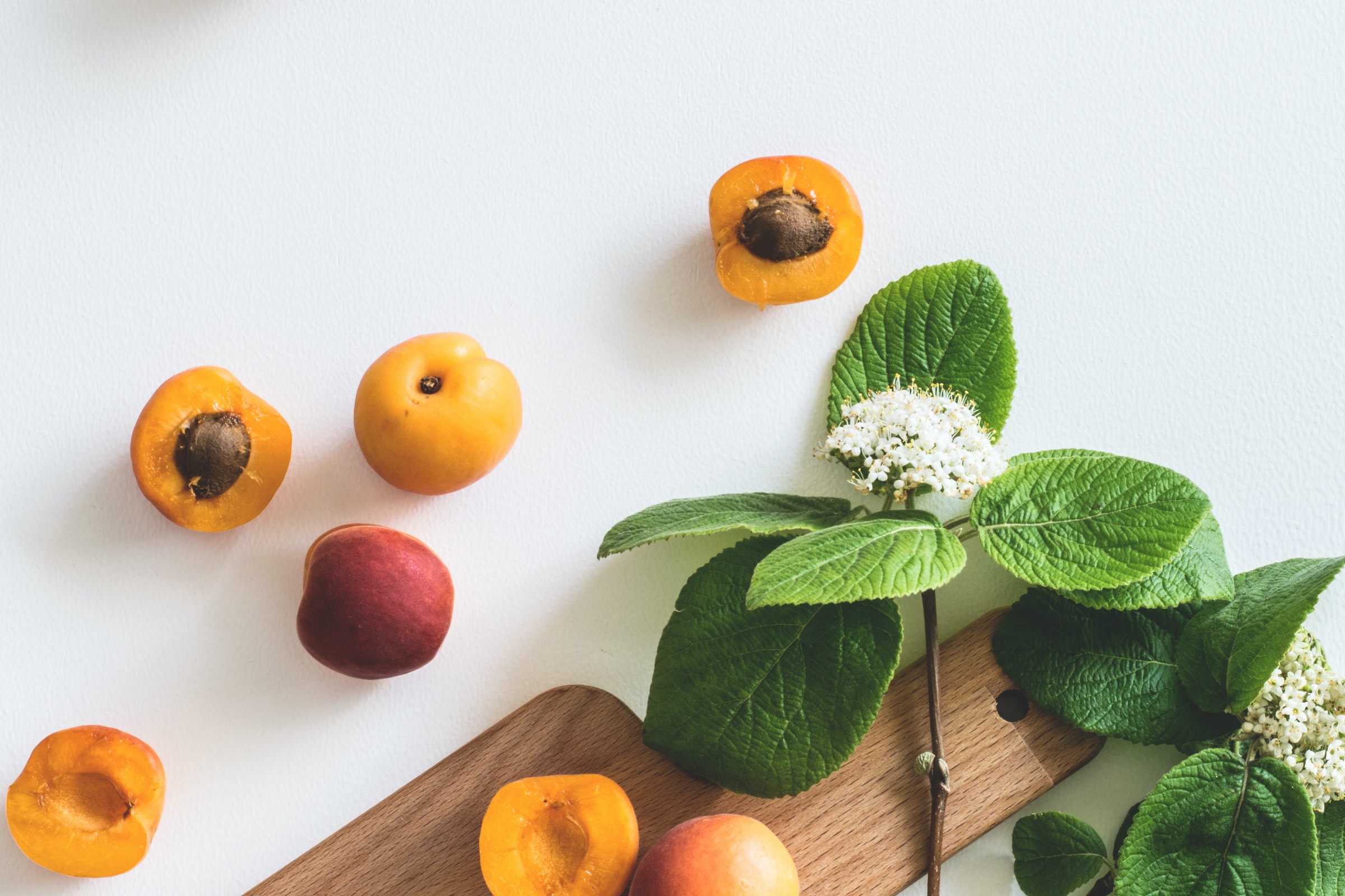 How do companies use healthcare expert calls vs b2b surveys?