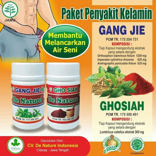 Jual Obat Sipilis Herbal De Nature di Sragen