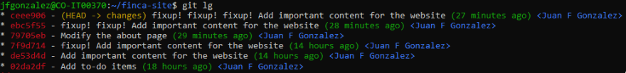 Updated commit log