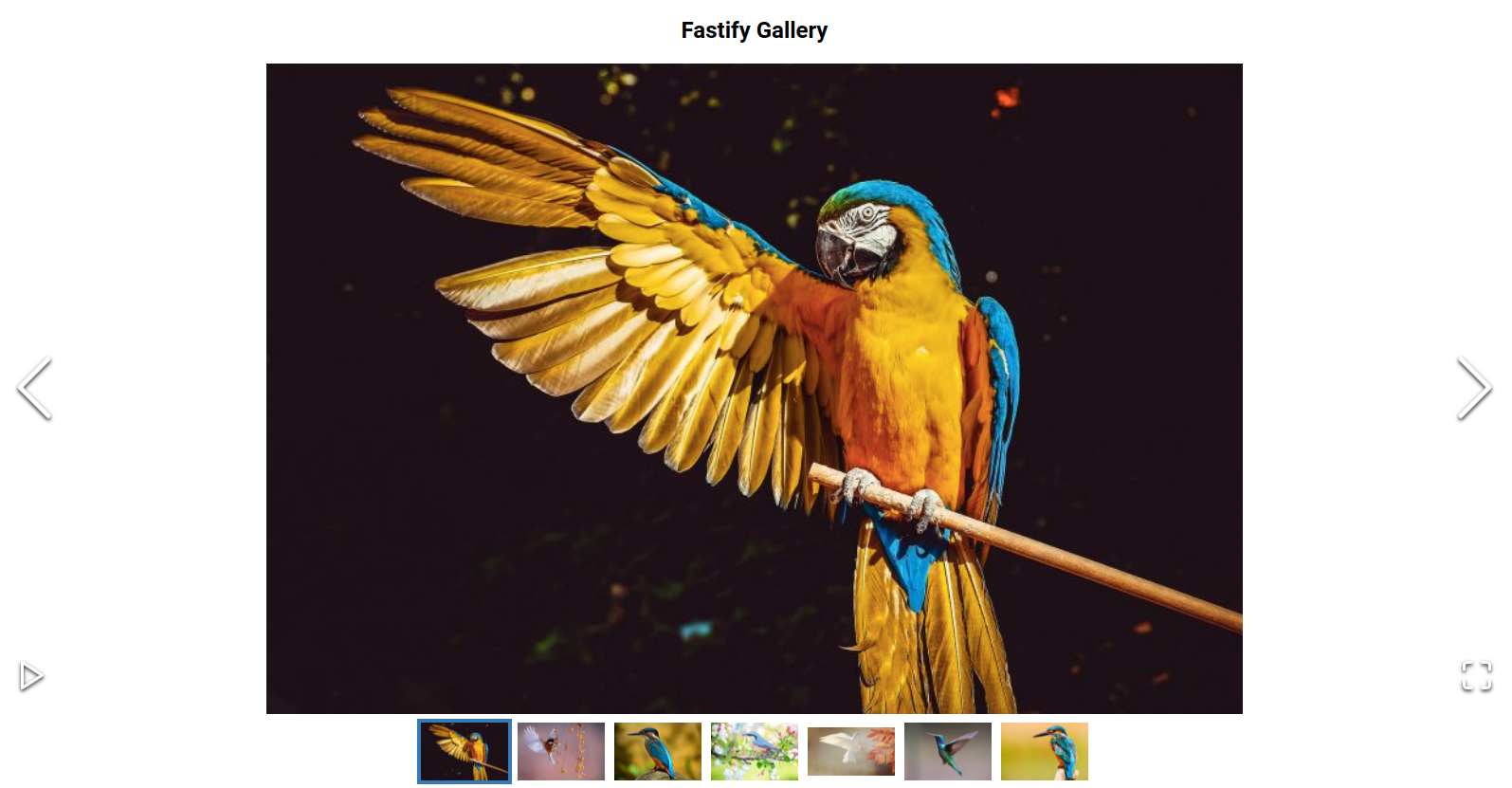 fastify gallery