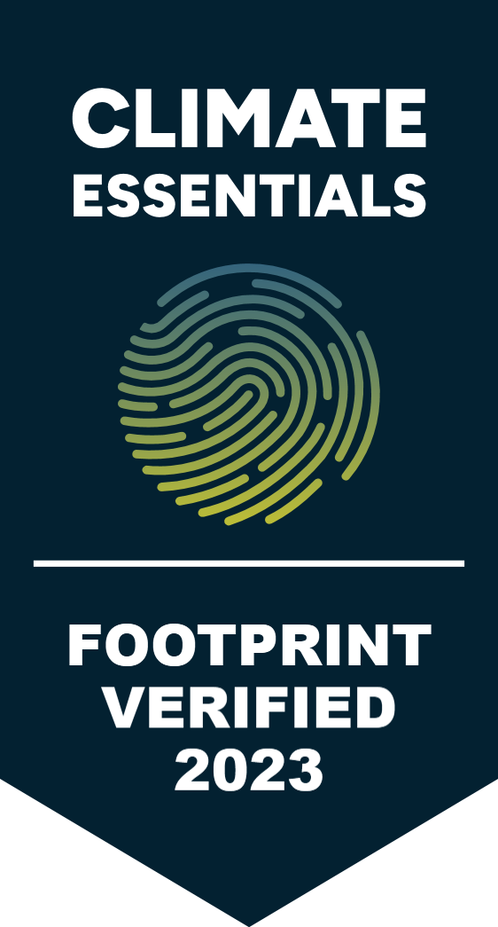 Una pianta che cresce dal terreno con un raggio di sole alle spalle