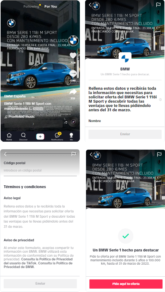 BMW TikTok Lead Gen ad case study screenshots