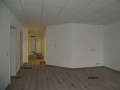 REF : GZ BÜ11019
