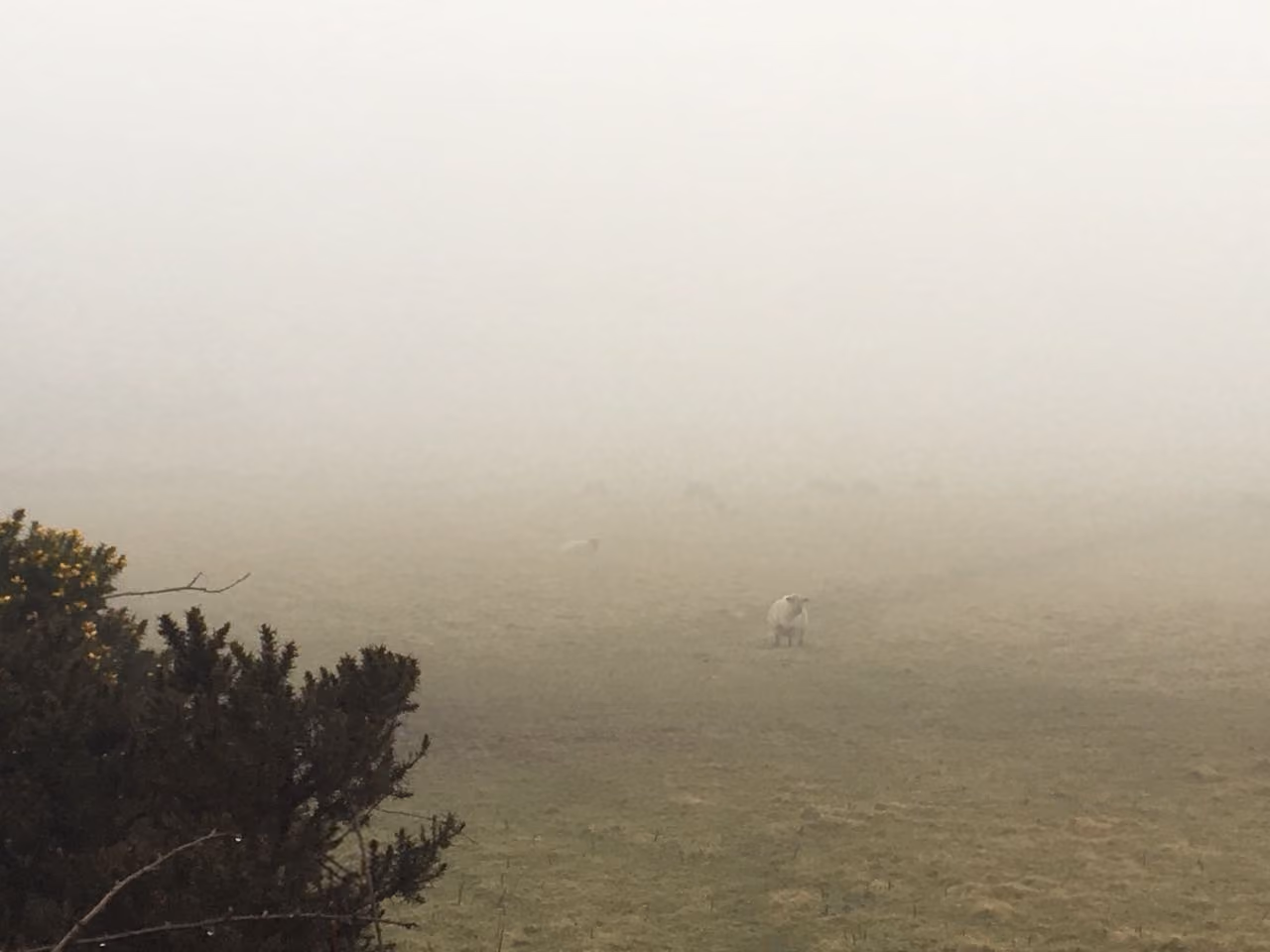 A misty scene in the Isle of Man