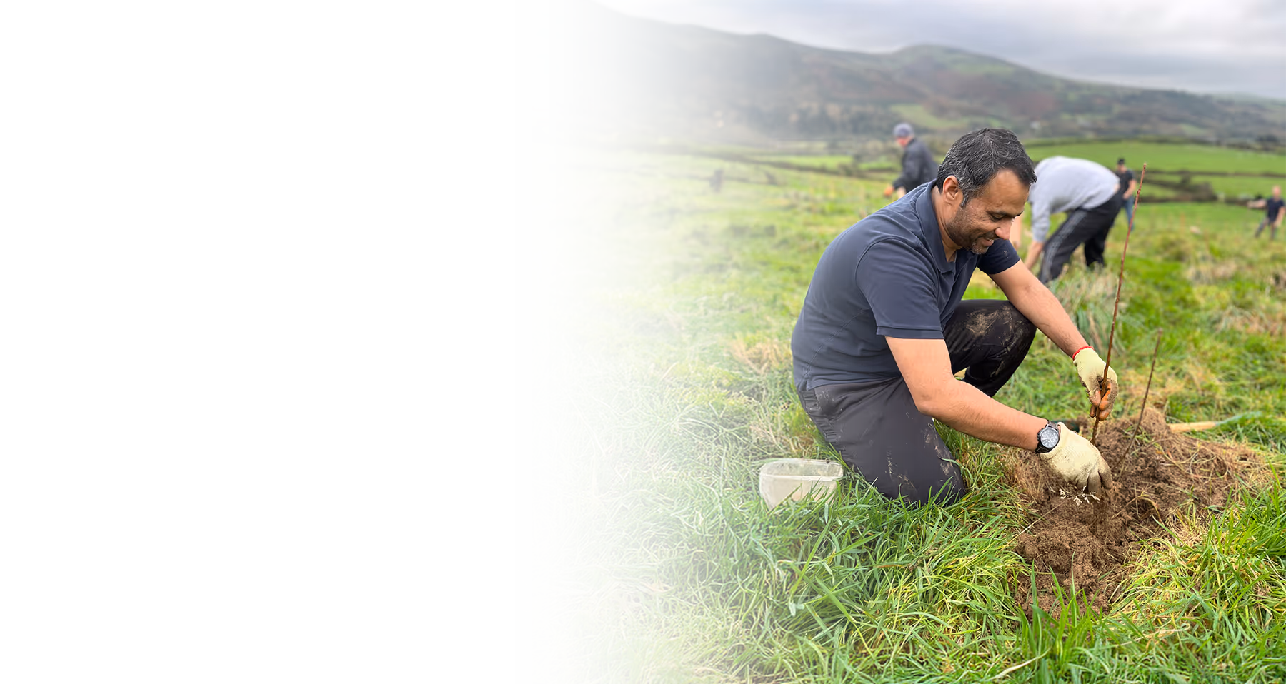 A Capital International team member tree planting in a field with colleagues