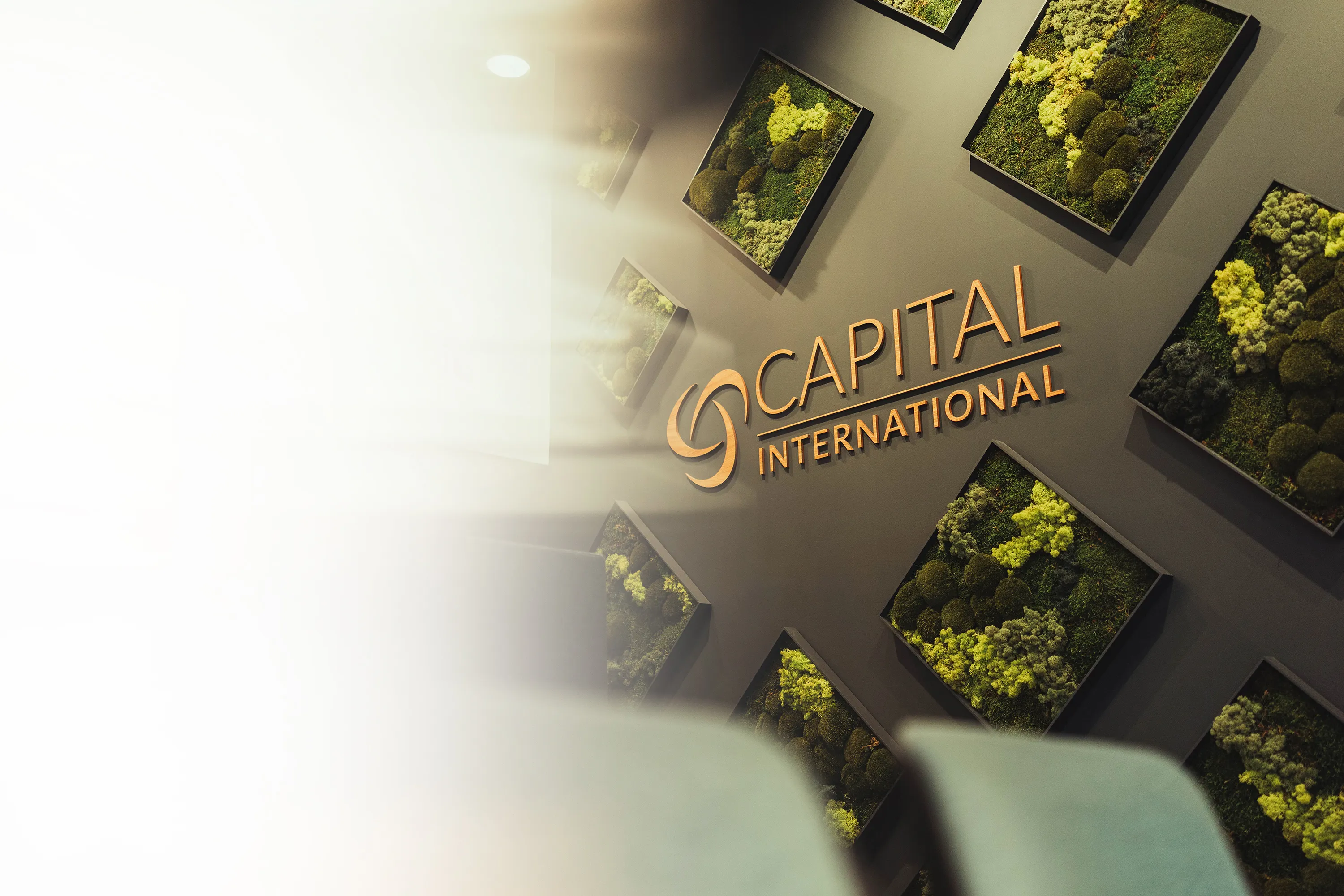 Wall with the Capital International logo surrounded by square planter boxes filled with green moss.