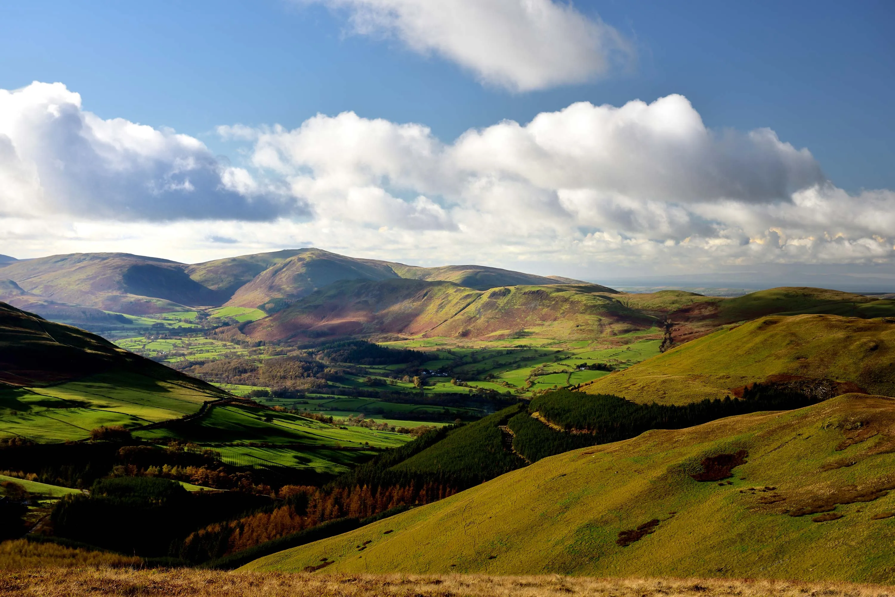 Green rolling hills and valleys under a partly cloudy sky, with patches of forest and sunlight.