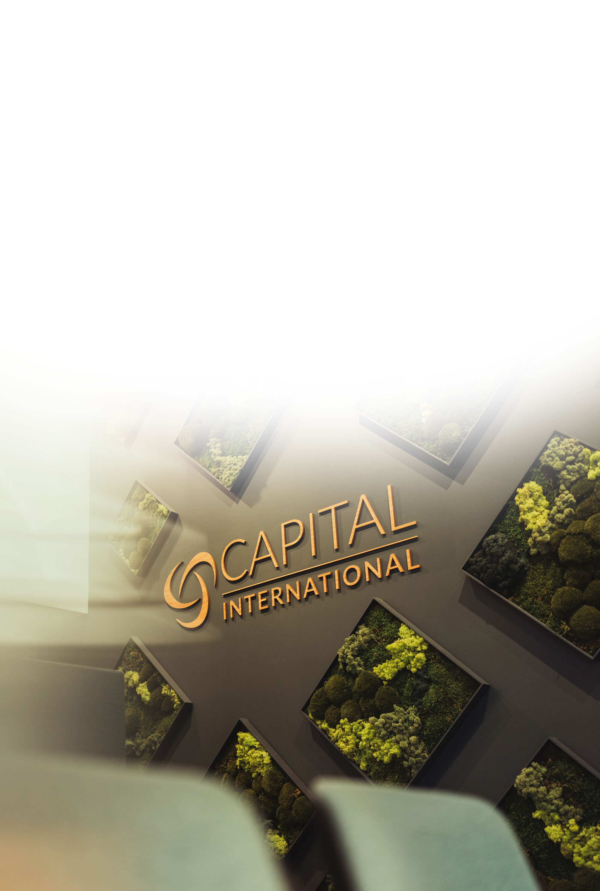Wall sign reading Capital International with framed green moss art panels in a modern office setting.
